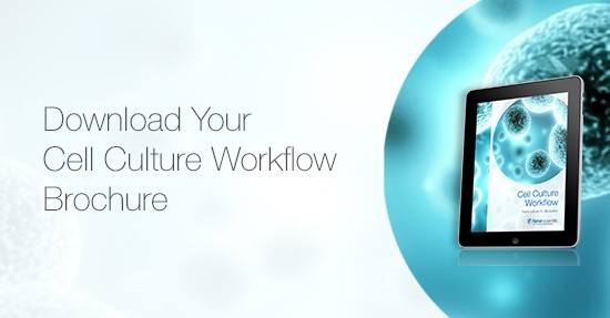 Cell Culture Workflow Brochure