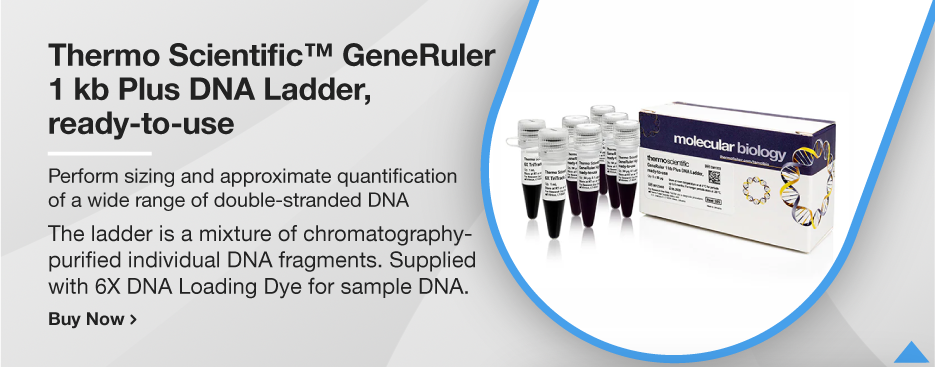 Thermo Scientific™ GeneRuler 1 kb Plus DNA Ladder, ready-to-use